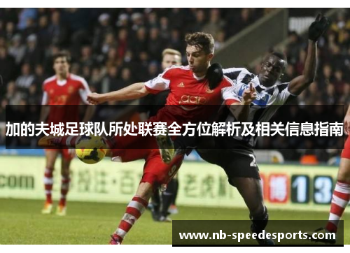 加的夫城足球队所处联赛全方位解析及相关信息指南